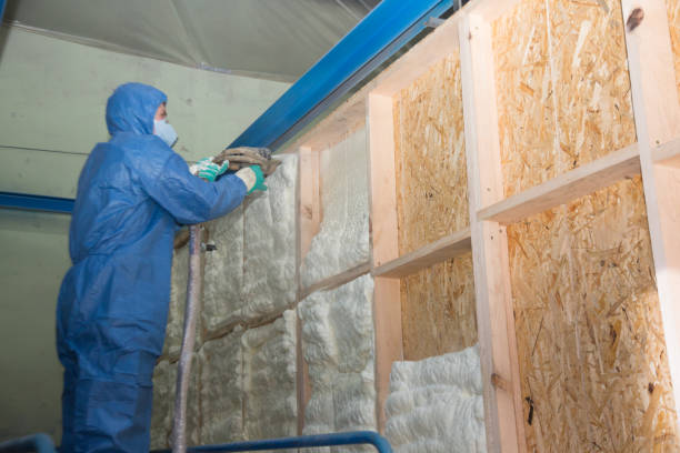 Trusted Level Plains, AL Insulation Contractor Experts