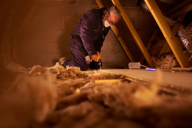 Best Local Insulation Services  in Level Plains, AL