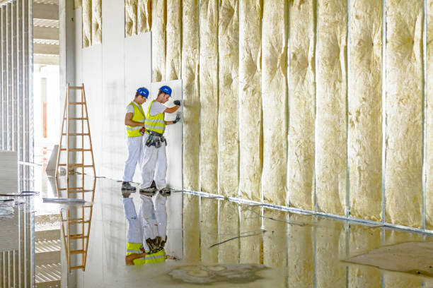 Insulation Inspection Services in Level Plains, AL